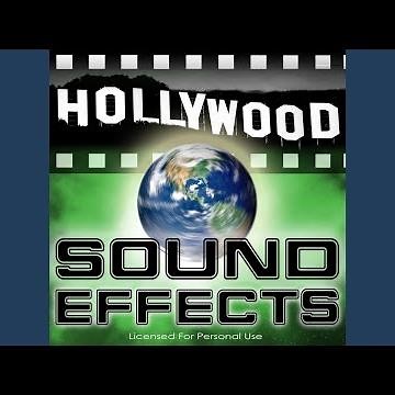 Music - Carousel Merry-Go-Round Sound Effect 2