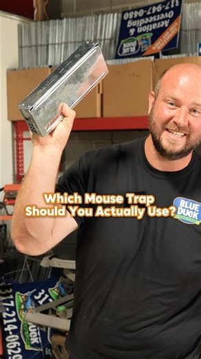 Which Mouse Trap Should You Use? #shorts