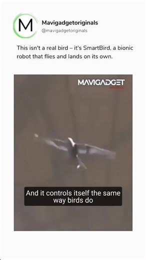 This bird may seem real, but it is not