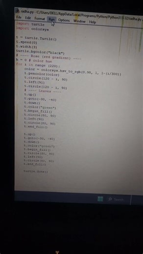maked Rose by pythonx😼🪴 #python #rose #error