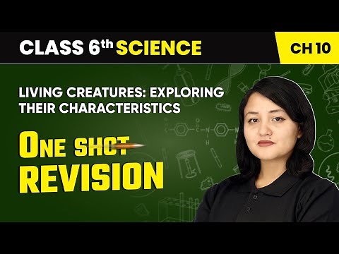 Living Creatures Exploring their Characteristics - One Shot Revision | Class 6 Science Chapter 10
