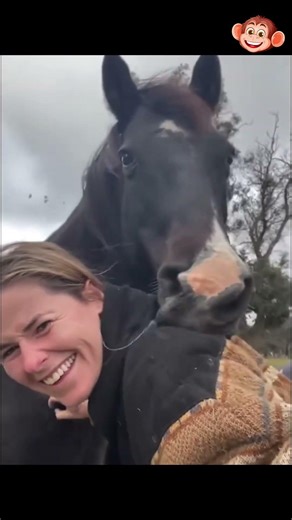 Too Funny! Horses Having Fun😂🐴 .......[265]