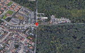 New Springville crash sends 1 to the hospital