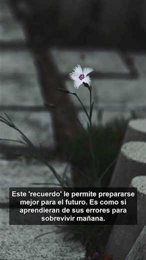 ¿Las plantas tienen memoria? El secreto de la epigenética