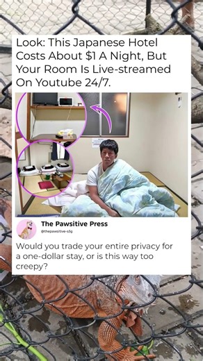 The $1 Hotel Room Where Everyone is Watching 😳