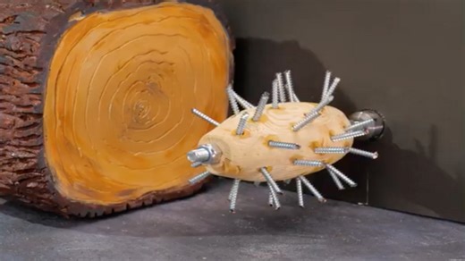 Essential Wood Joining Tips & Tricks for a Pro-Level Workshop