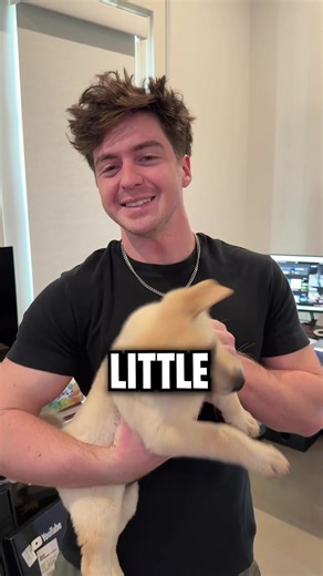 Should I Get a Dog? Funny Reasons to Consider It