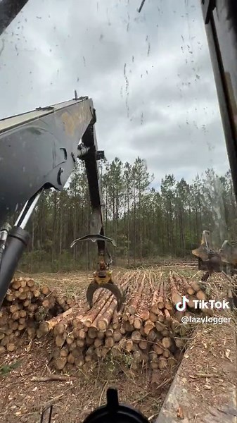 #logging #skidder #trucking #loggingislife #logger #fyp #loader #sheer #lumberjack #