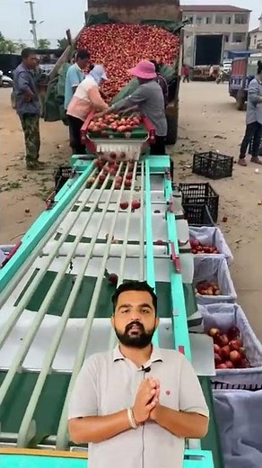 Amazing Apple grading machine