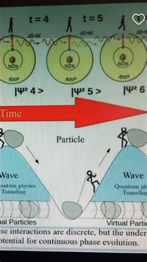 Virtual Particles and Phase Dynamics