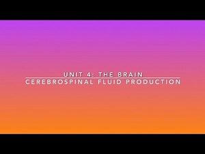 Formation of Cerebrospinal Fluid | Lime the Tutor | Premed Anatomy and Physiology