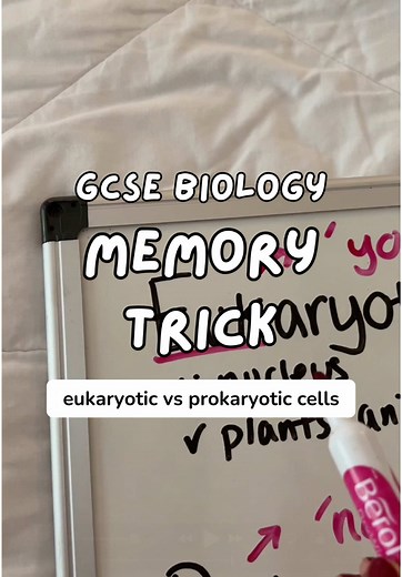 Understanding Eukaryotic vs Prokaryotic Cells Hacks
