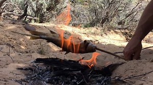 This is how we go out to lunch in #Boulder With Matt Graham - Survivalist | East Forest