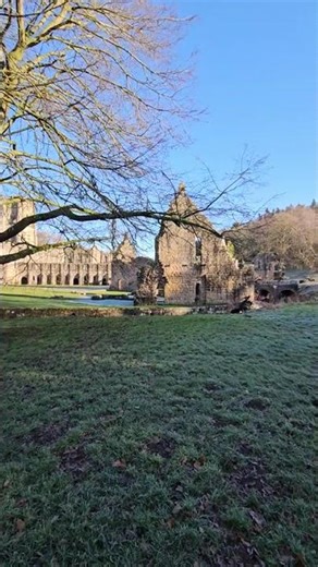 Fountains Abbey, Nidderdale, Ripon, Yorkshire, UK 10/01/2026 #shorts #englishhistory
