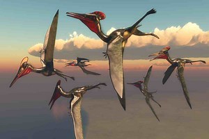 Quetzalcoatlus Pterodactyl How Did It Fly | Unraveling Its Flight Abilities