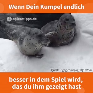 Echte Freunde! | spieletipps