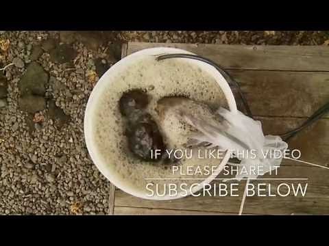 How to : Liquid IMO with Chris Trump