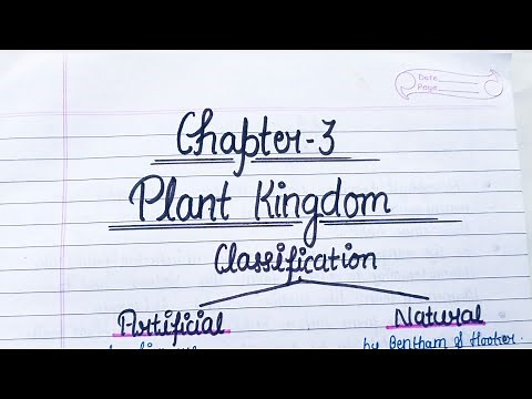Plant Kingdom 🌱 Class 11 Biology Chapter 3 Handwritten notes #video #class11 #biology #notes#ncert