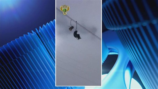 Deadly ski lift accident on Europe's highest mountain