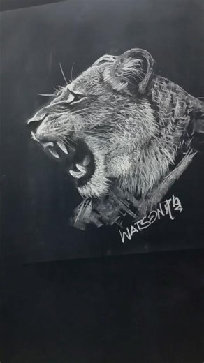From black to white chalkboard drawing