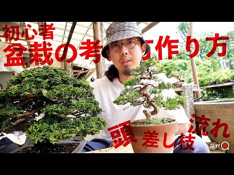【初心者】観るだけで上手くなる！盆栽の考え方、作り方を学ぼう。【盆栽Q】