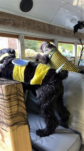 Just two little bumblebees waiting on their pal, Henry, to load the bus. | The Storybook Bus