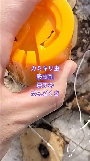 カミキリ虫殺虫剤#カミキリ虫#いちじく#殺虫剤