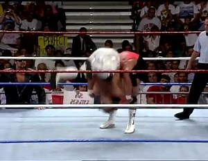 42K views · 627 reactions | Mr. Perfect vs. Shawn Michaels for the WWF Intercontinental Title  | 80's Wrestling | Facebook