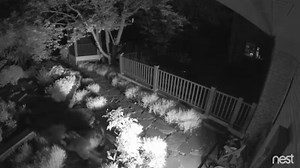 The following video was provided by a resident of Snow Hill subdivision north of Warrenton on Friday, May 27. Recently there have been a number of black bear sightings in residential areas in Fauquier County. Black bear activity increases in the Spring and we would like to remind you of these safety tips: *Put out garbage the on the day of pickup, not the night before, and store in a secure receptacle. *Do not leave pet food out and hang bird feeders out of the reach of bears. *Keep barbecues cl