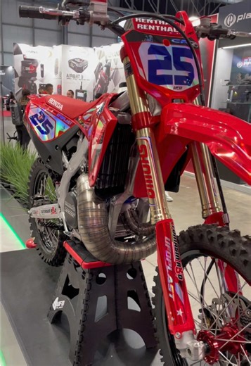 AS3 Performance on TikTok