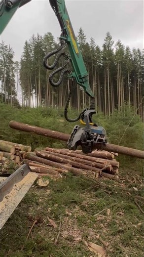 Waldarbeit extrem: Riesige Baumstämme (50 cm!) werden wie Bleistifte verarbeitet 🌲⚙️