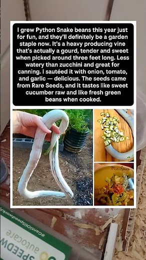 Python Snake Bean: Unique Gourd That Tastes Like Cucumber and Green Beans