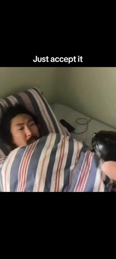 Understanding the Funny Turtle Meme Phenomenon