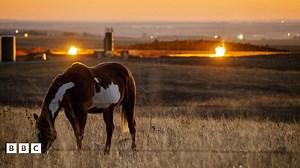COP26: Global methane pledge to cut the greenhouse gas by 30% by 2030