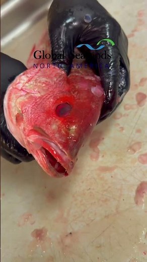 How to Clean Brazilian Red Snapper 🐟 | Whole Grilled Snapper Recipe on BBQ