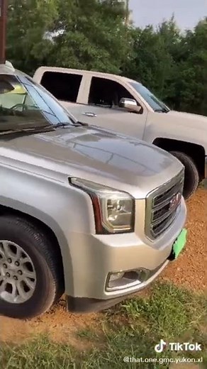 Vehicle alarm sounds