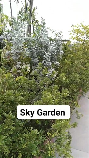 Gateway Sky Garden | Ka Da-an