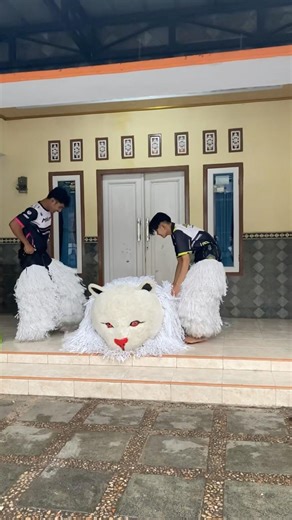 Cara memakai kostum can macanan