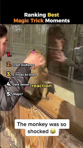 These Magic Moments Had Me CRYING 😭 #ranking #funny