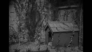 Us 1921 This Silent Comedy Man Stock Footage Video (100% Royalty-free) 3521502161 | Shutterstock