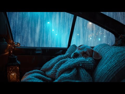 4 Essential Sounds to Help You Fall Asleep in Minutes