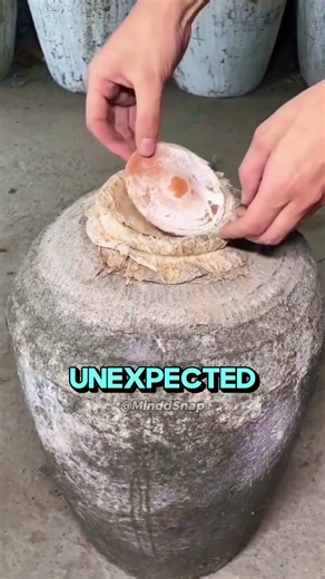 Would You Drink This Old Wine