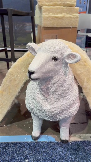Would You Buy Sheep Wool Insulation? #ConstructionMaterials #Insulation #sheepwool #TradeShow #renewables | BYOT
