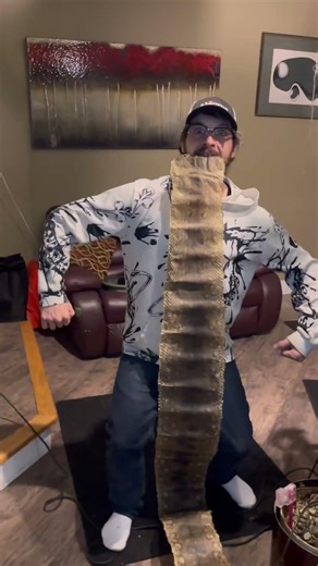 Taking on a python snake no problem🐍 🤯 #shorts #python #snake