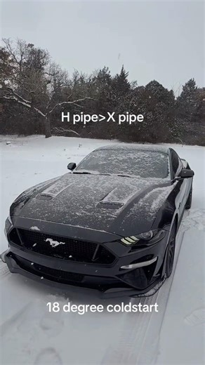 Mustang Drivers Being Mustang Drivers 😂 #775 #shorts