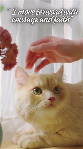 Courage and faith 💕 #shorts