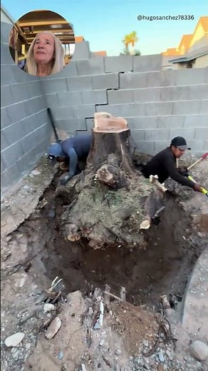 Removing a tree stump near a wall #gardening #stump #diy