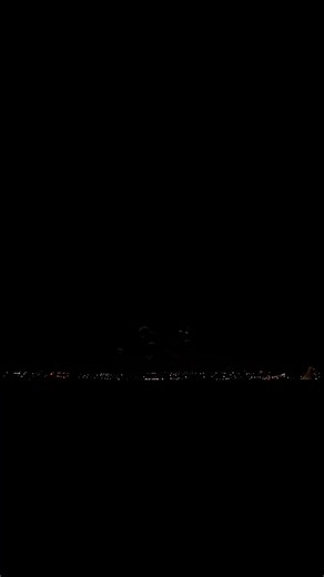 Vidéos de Skybirdworld (@skybirdworld) au sujet de bird