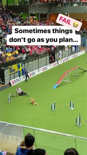 FAIL at Agility World Championship