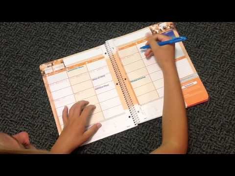 Middle School Organization